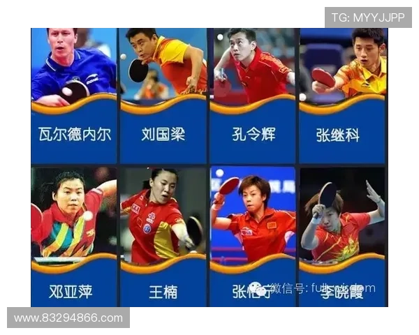 乒乓球焦点：上海乒乓球队的实力探讨