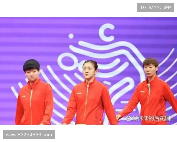 乒乓球深度解析西安乒乓球队的转型与发展之路