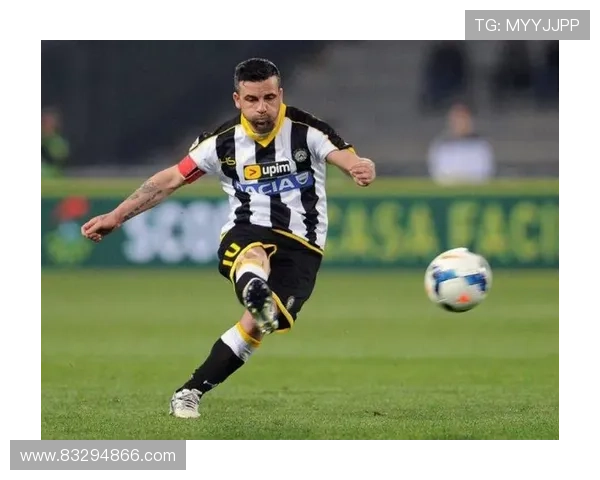 你心目中的足球明星是谁他们在球场上的表现如何影响了你对足球的热爱