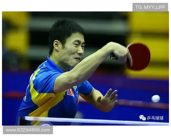 从零基础到高手之路乒乓球个人能力提升全方位指南