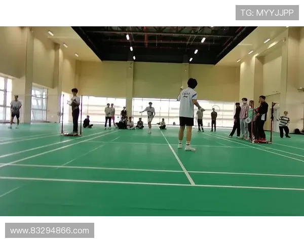 全国锦标赛回顾南京羽毛球队技术表现的深度分析与启示