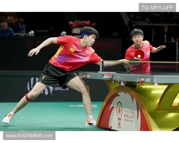 成都羽毛球队在世界杯赛场上的经验与表现分析
