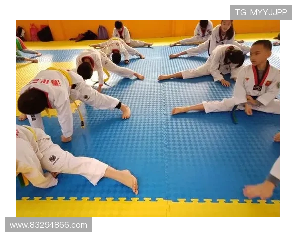 专访杨娜：探寻她在网球领域取得成功的秘诀与心路历程